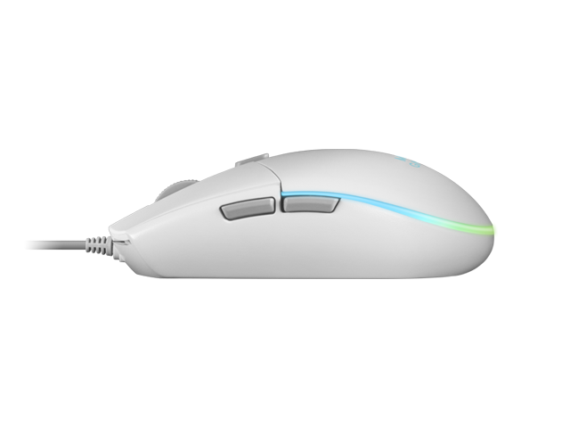 RGB Flow Mouse