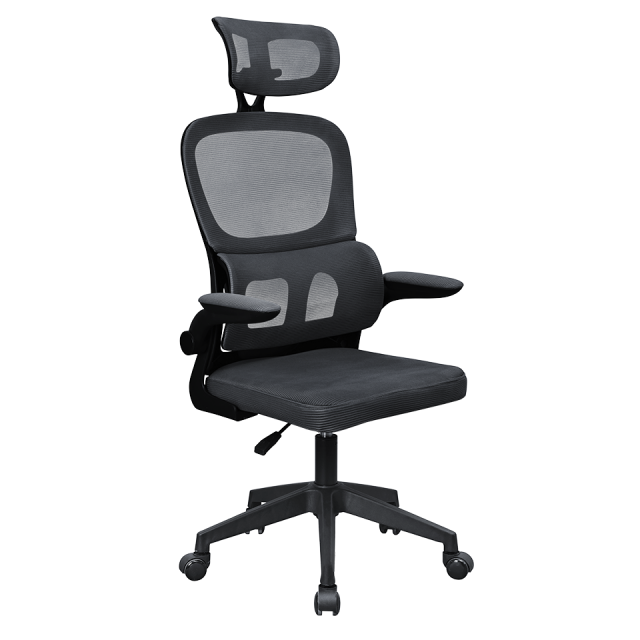 Professional Ergonomic Chair MGC-ERGOPRO