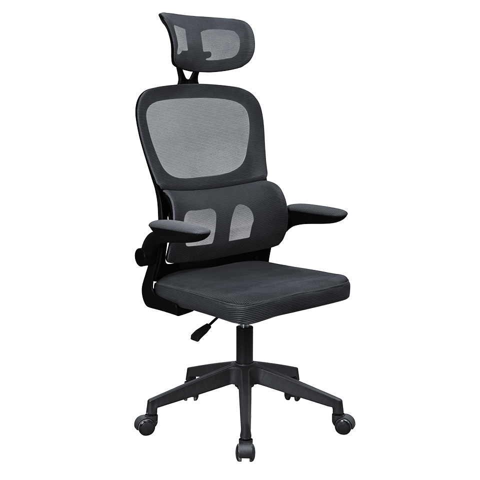 Professional Ergonomic Chair MGC-ERGOPRO