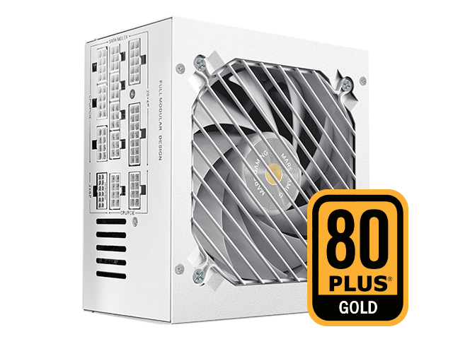 80PLUS Gold Certified Efficiency
